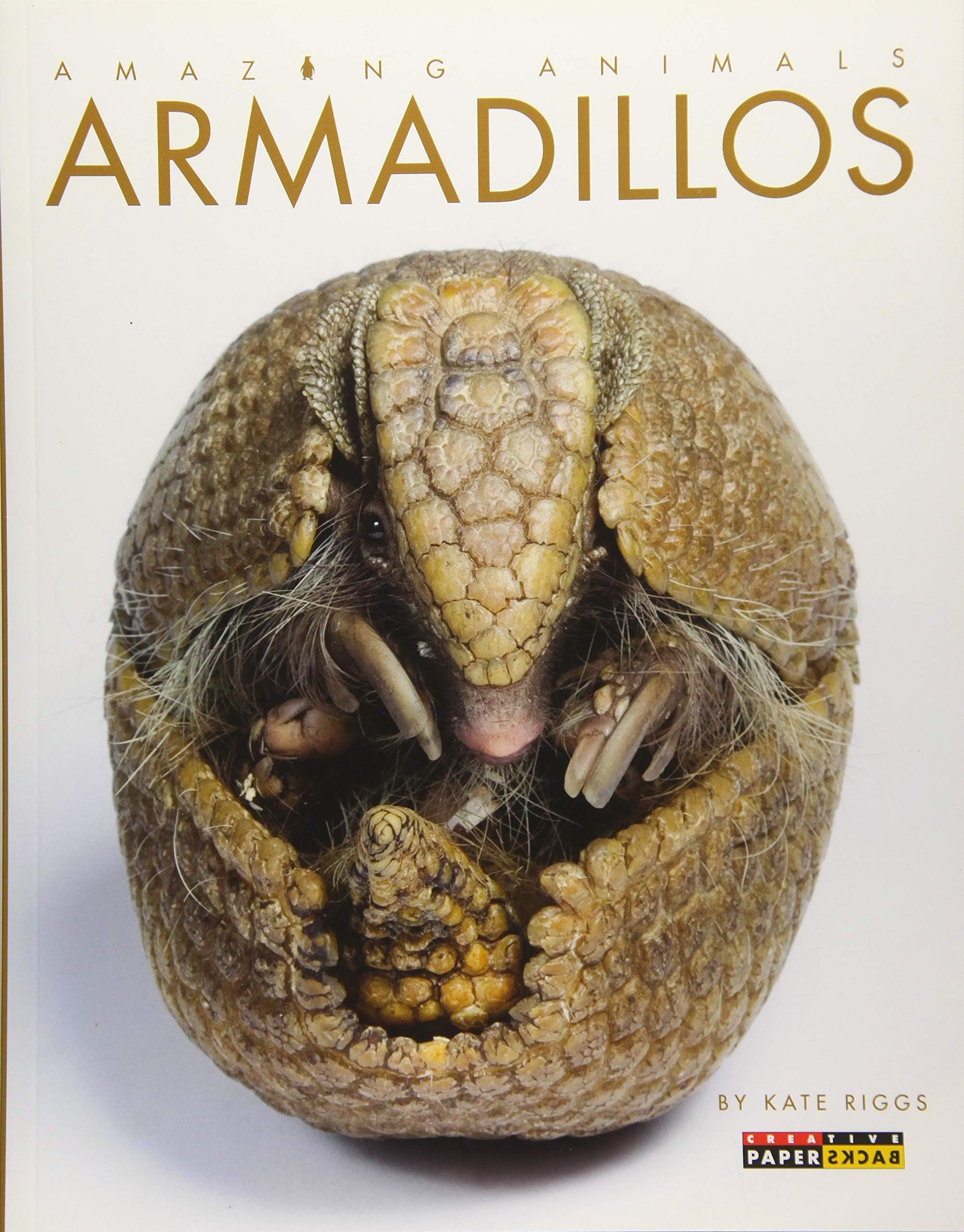 Armadillos (Amazing Animals)