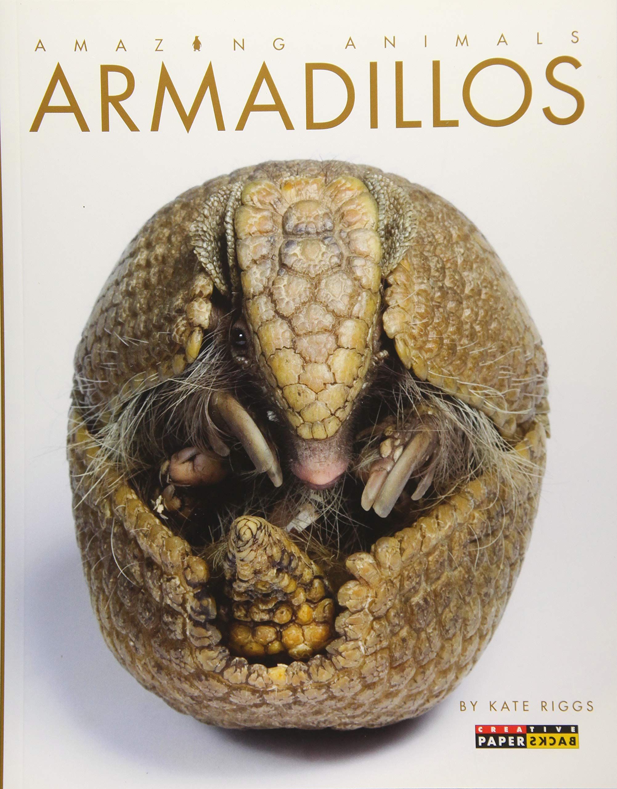 Armadillos (Amazing Animals)
