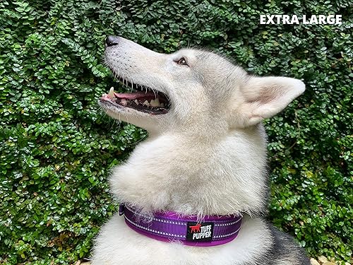 Miniatura 7 de Tuff Pupper Collar de perro acolchado ultra cómodo  Acolchado grueso de neopreno  Collar de perro con correa de nailon balístico con costuras