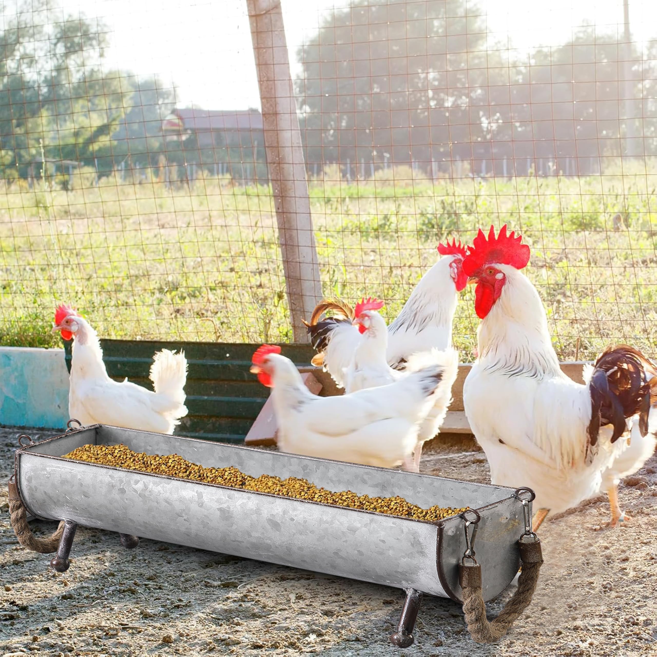 SOFE Juego de 2 comederos de pollo de metal galvanizado para aves de corral, comedero de mesa de picnic de pollo de granja, maceta de pollo, bandeja galvanizada decorativa con forma de paso, 15 y 13