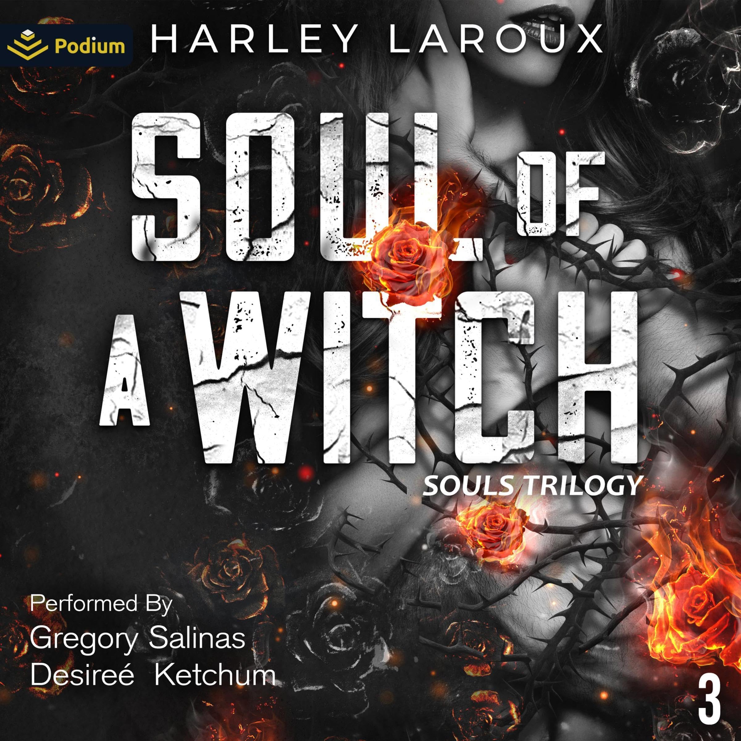 Cover art for Soul of a Witch