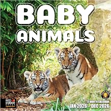 RED EMBER Signature - Baby Animals 2026 Wall Calendar 12 Month | 12 x 24 Open | Thick & Sturdy Paper | Giftable | Wild Cute Kids Calendar 2026