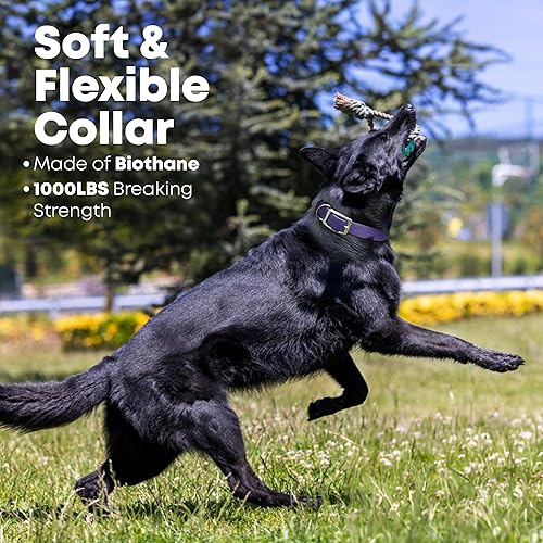 Miniatura 80 de Regal Dog Products Collares de perro grandes, impermeables, color rosa, con placa de nombre grabada personalizada, revestimiento de vinilo, anti