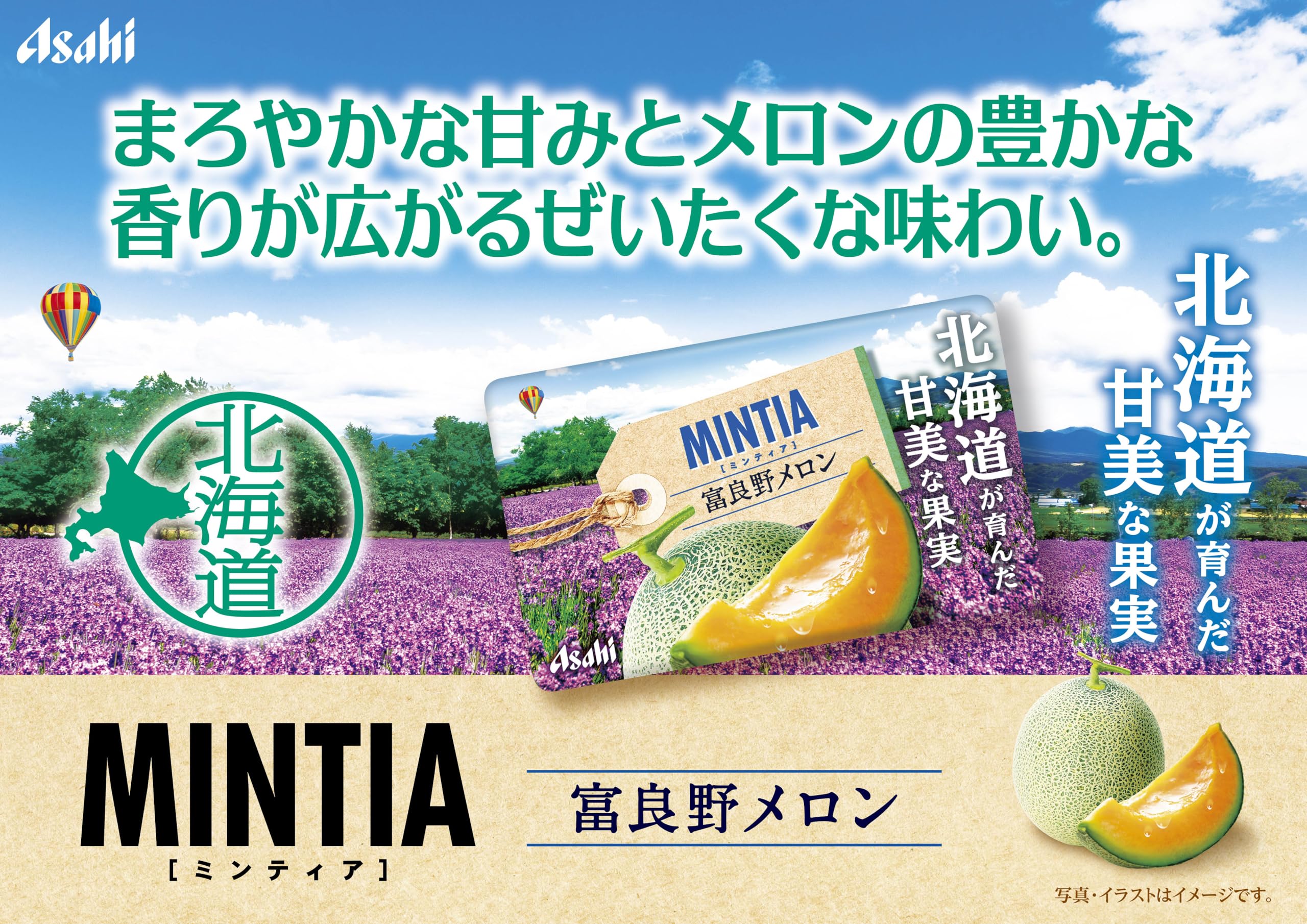 Amazon.co.jp: アサヒグループ食品 ミンティア 富良野メロン 50粒(7g
