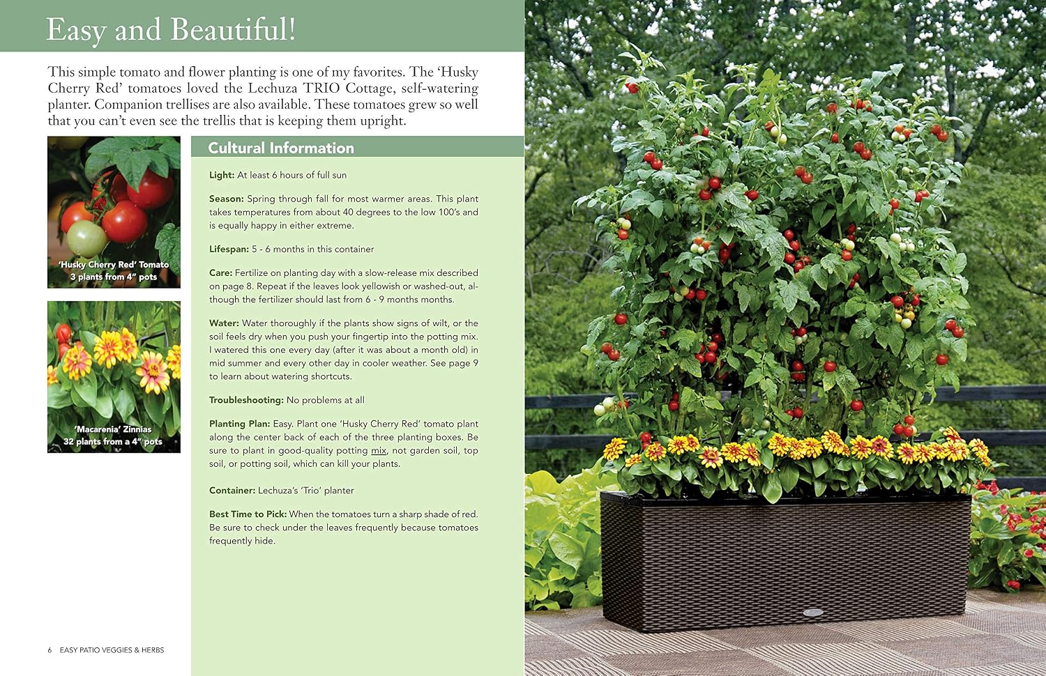 Easy Patio Veggies & Herbs