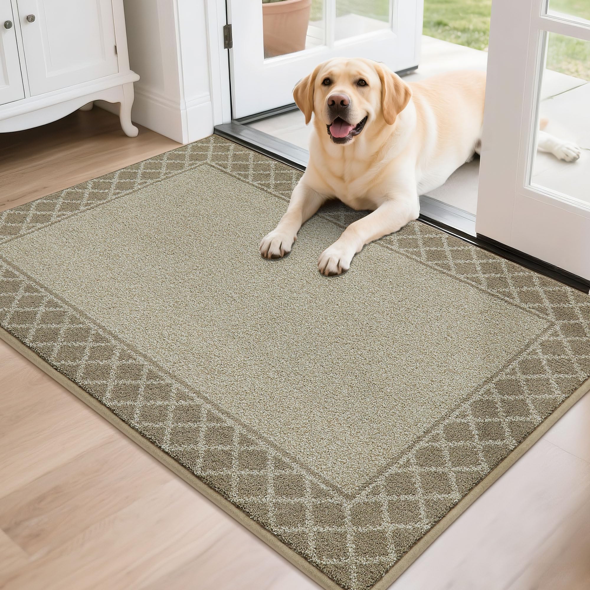 BEQHAUSE Door Mat Indoor Entrance Dirt Trapper Rugs for Entryway Non Slip Welcome Mat Absorbent Floor Mat Low Profile Washable Front Doormat for Dirty