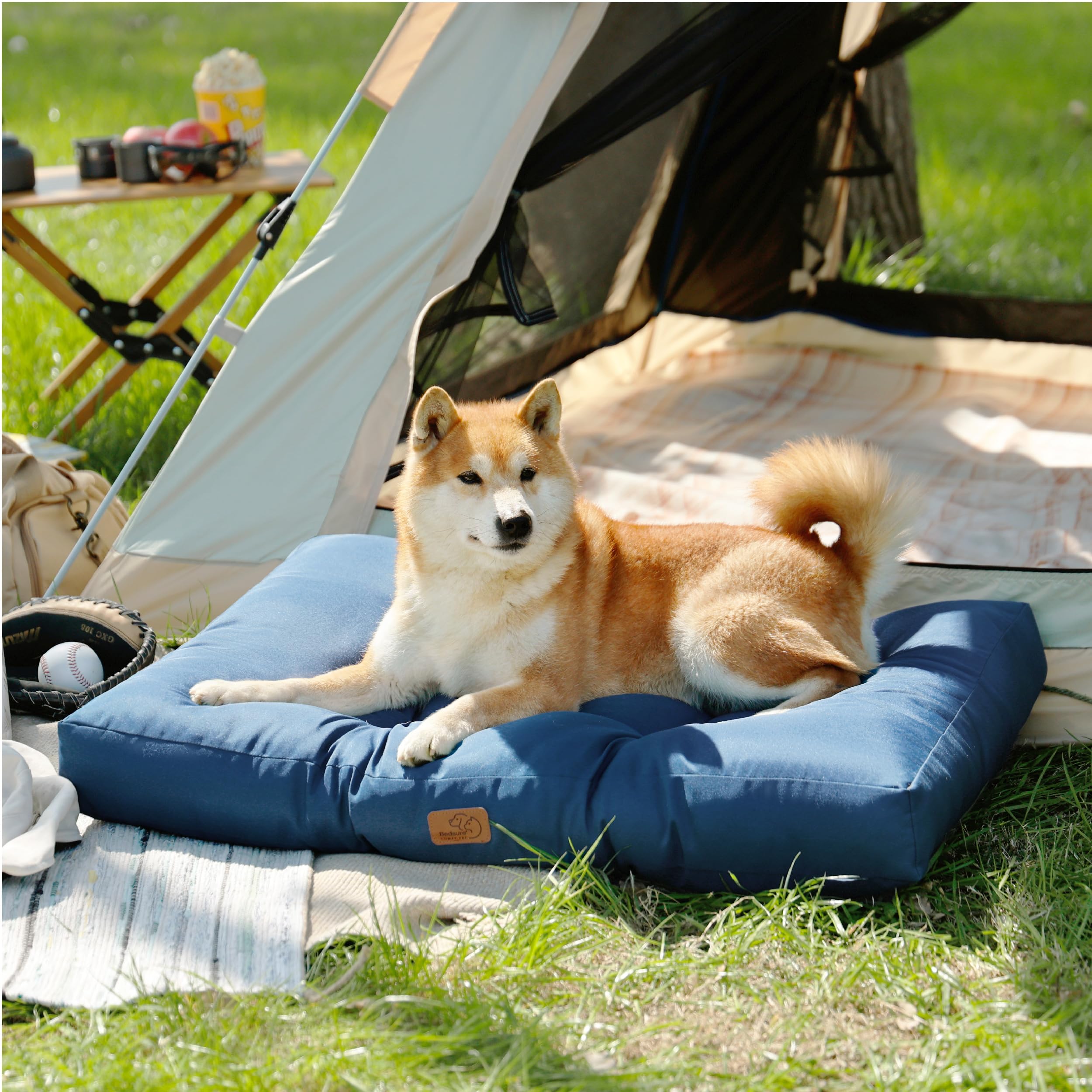 Bedsure Cuscino per Cani Taglia Piccolo - Cuscini per Cani Taglia Piccola Tappeto Cane Cuscino Cane Interno Cuscino Cuccia Cane Impermeabile 76x50 cm Lavabile