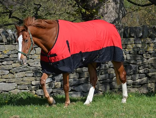 600D Ligero Impermeable Caballo Participación Alfombra 100G Relleno Estándar Cuello