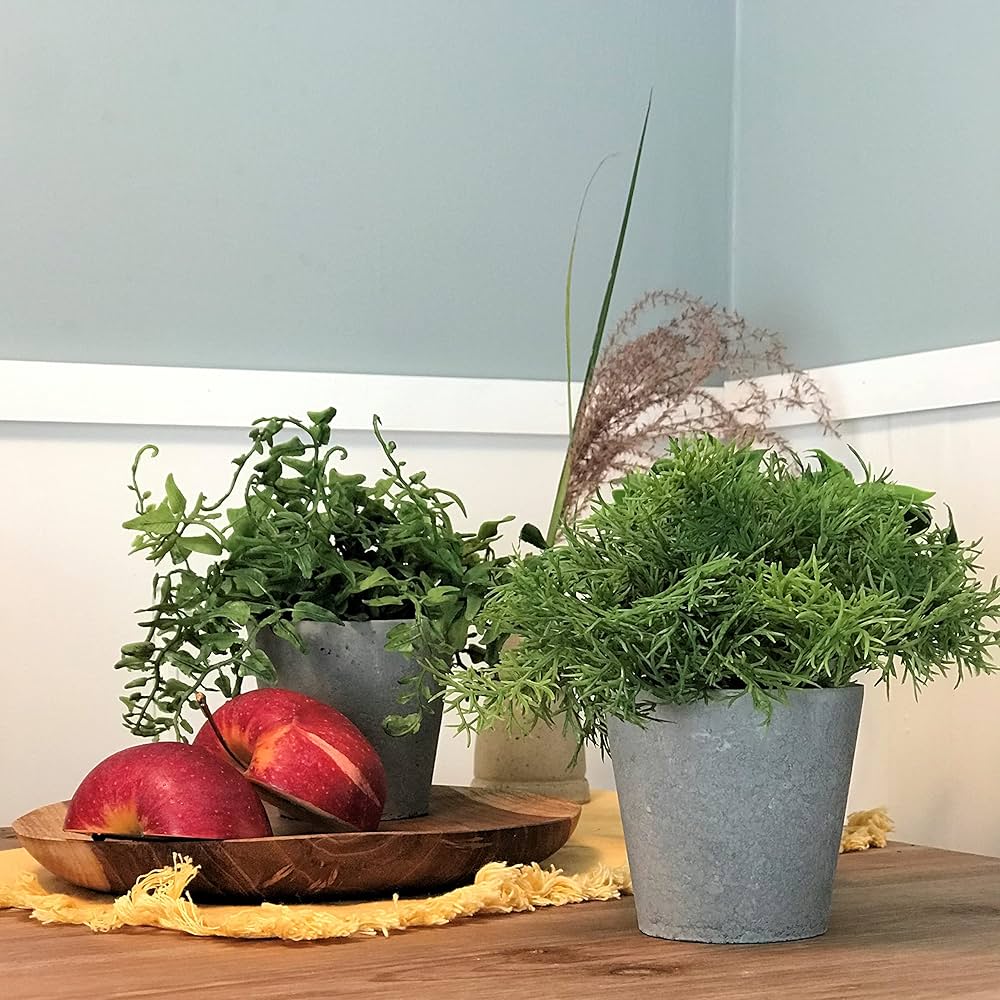Best Fake Plants From Target 2022 POPSUGAR Home, 52 OFF