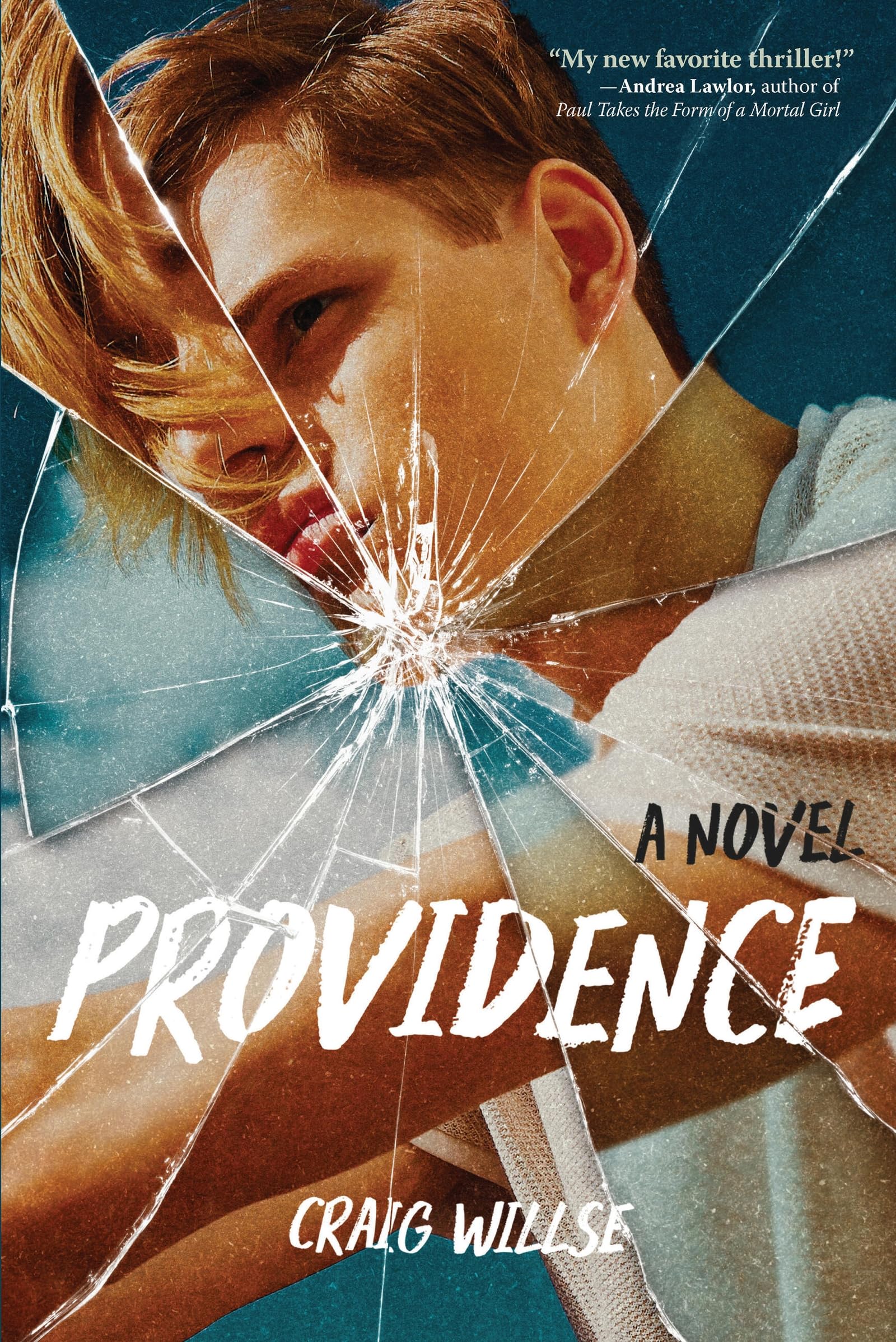 Providence A Novel by Craig Willse (Paperback Book)