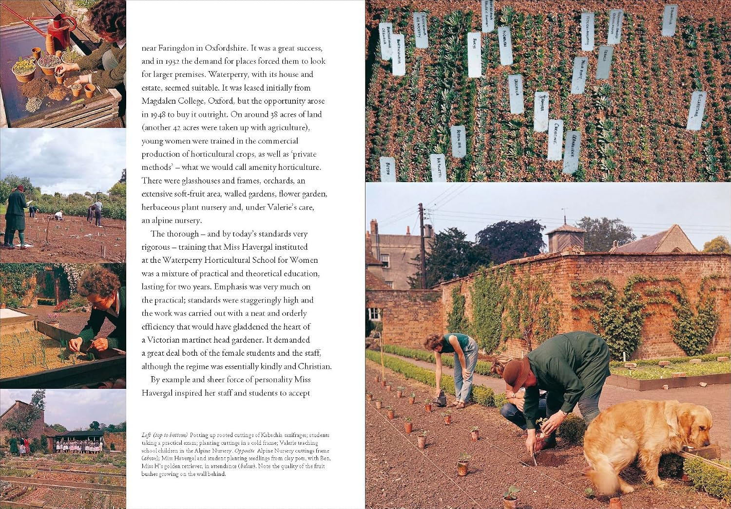 Garden People: Valerie Finnis and the Golden Age of Gardening (Paperback) /anglais