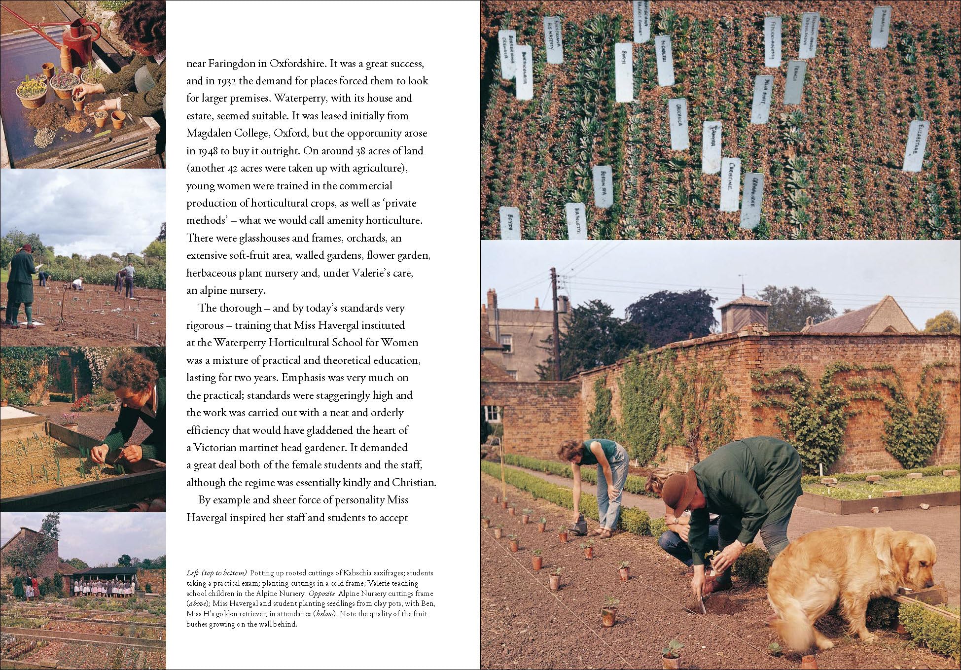 Garden People: Valerie Finnis and the Golden Age of Gardening