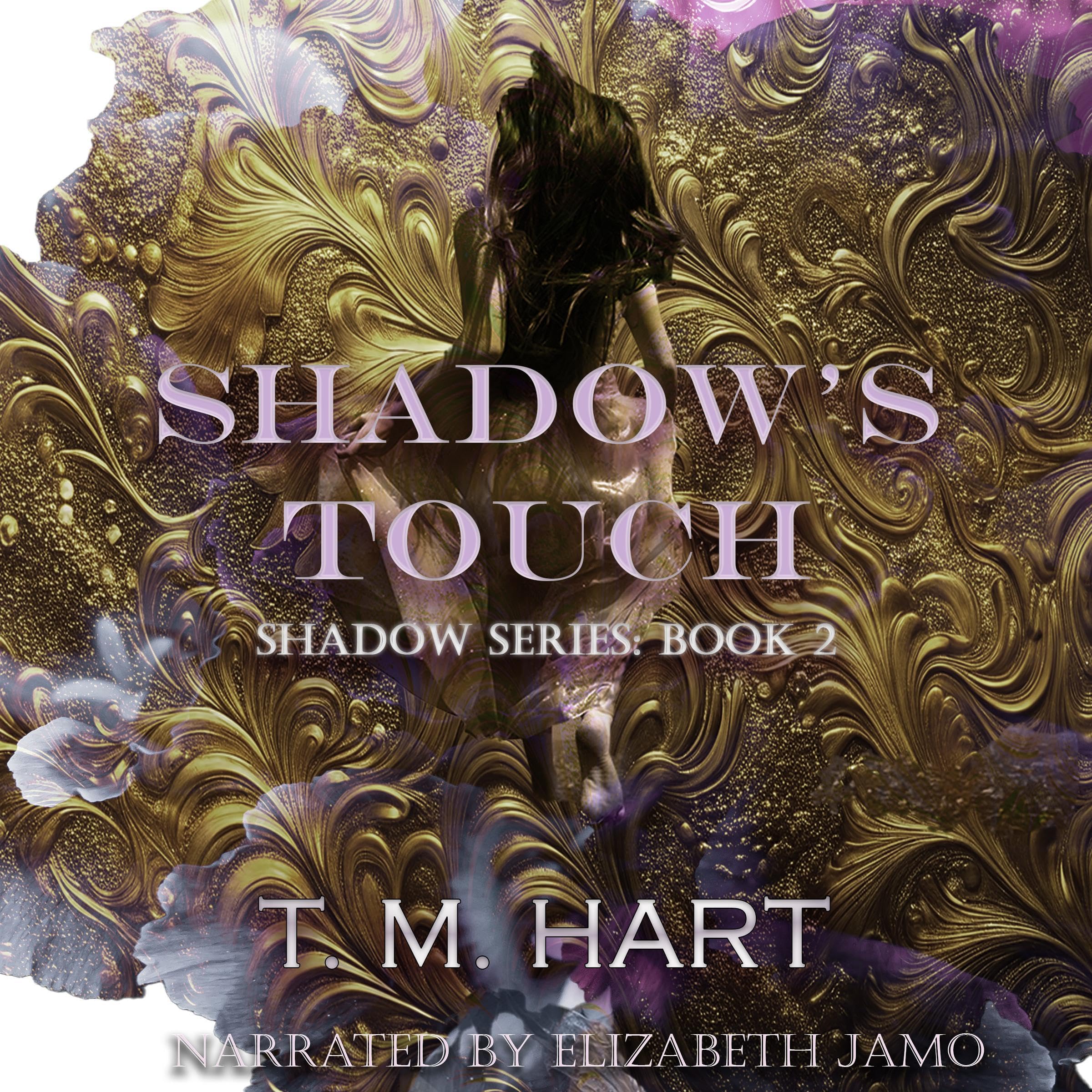 Cover art for Shadow's Touch