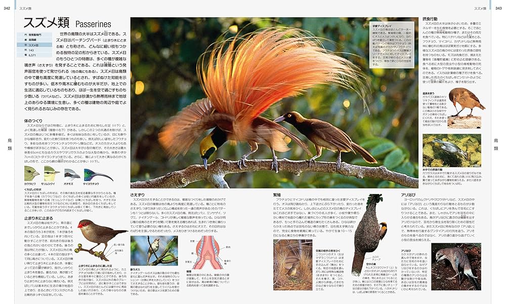世界動物大図鑑 世界動物大図鑑―ANIMAL DKブックシリーズ | デイヴィッド