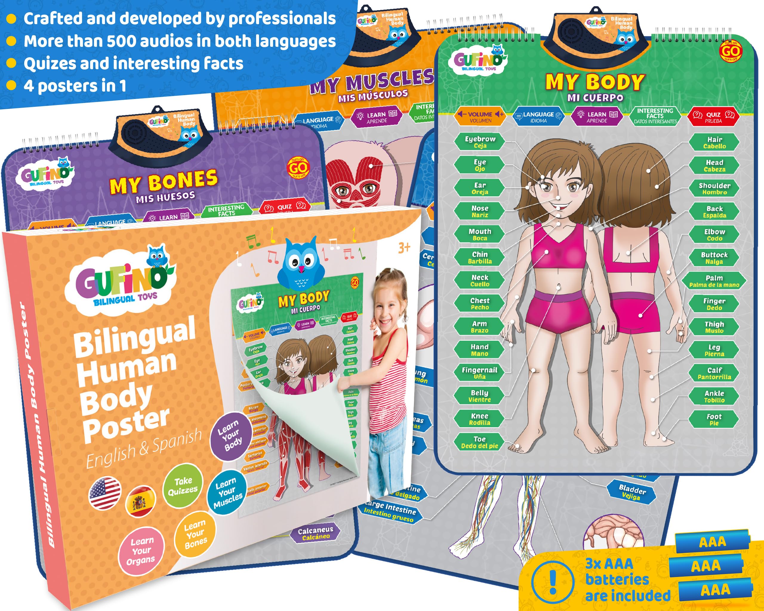 Modelo de cuerpo humano bilingüe para niños - Anatomía humana interactiva para niños con juegos y cuestionarios - Carteles educativos para aprender partes del cuerpo, huesos y órganos. Inglés y 6