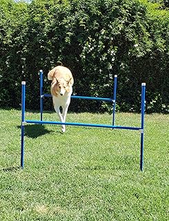 second hand dog agility equipment