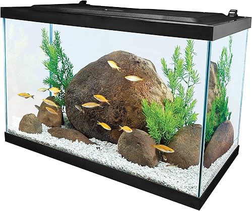 Miniatura 6 de Tetra Acuario de vidrio 5.5 galones, pecera rectangular
