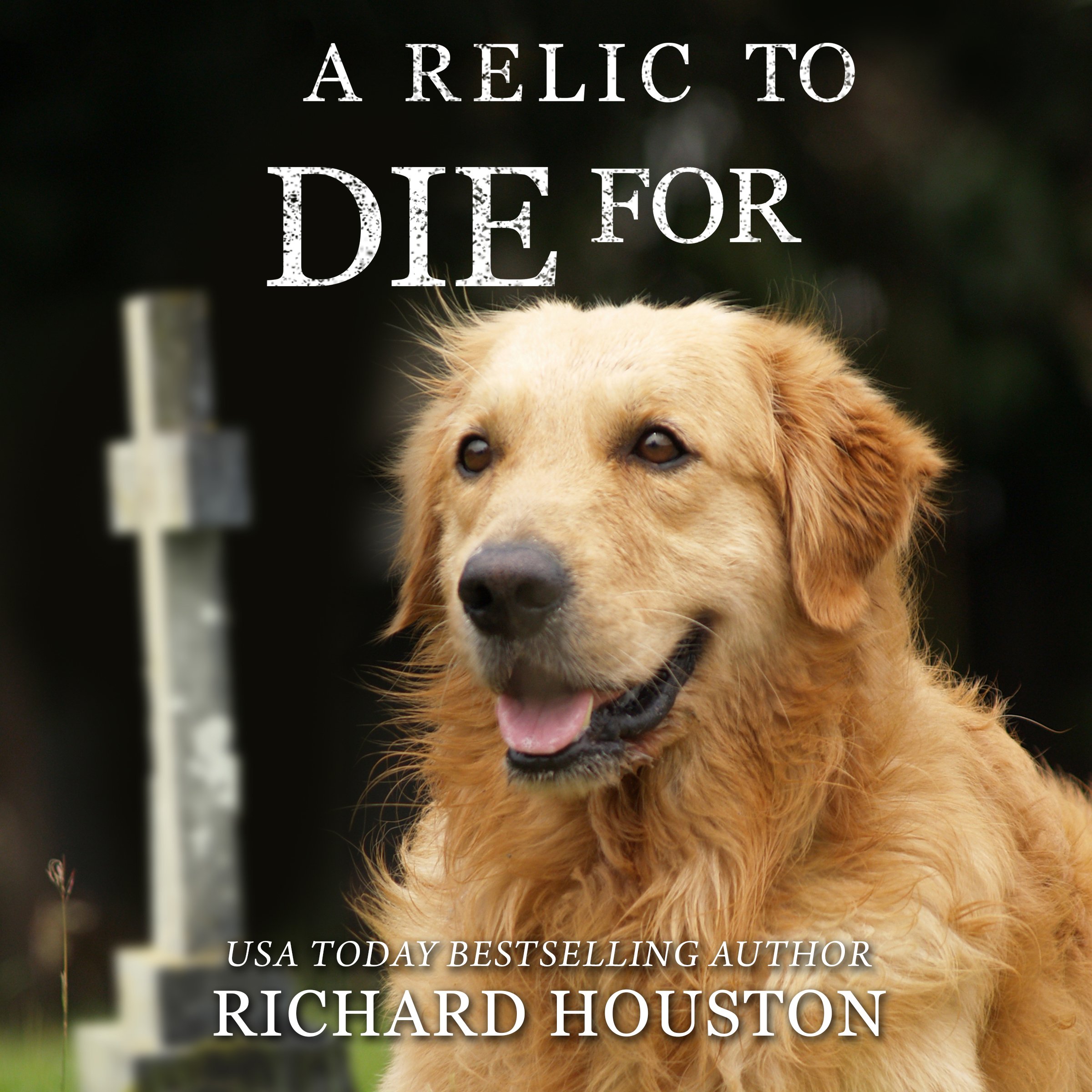 Cover art for A Relic to Die For