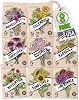 Seeds for Planting Flowers: 8 Bulk Variety Packets Zinnia, Nasturtium, Marigold, Purple Coneflower, Cosmos, Calendula, Bachelors Button & Sunflower Seeds, Non GMO Flower Seed by Sustainable Sprout