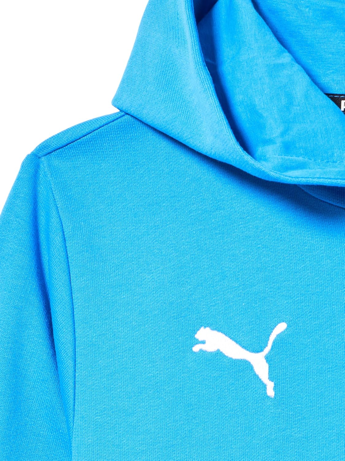 PUMA Kids' Teamgoal Casuals Hoodie
