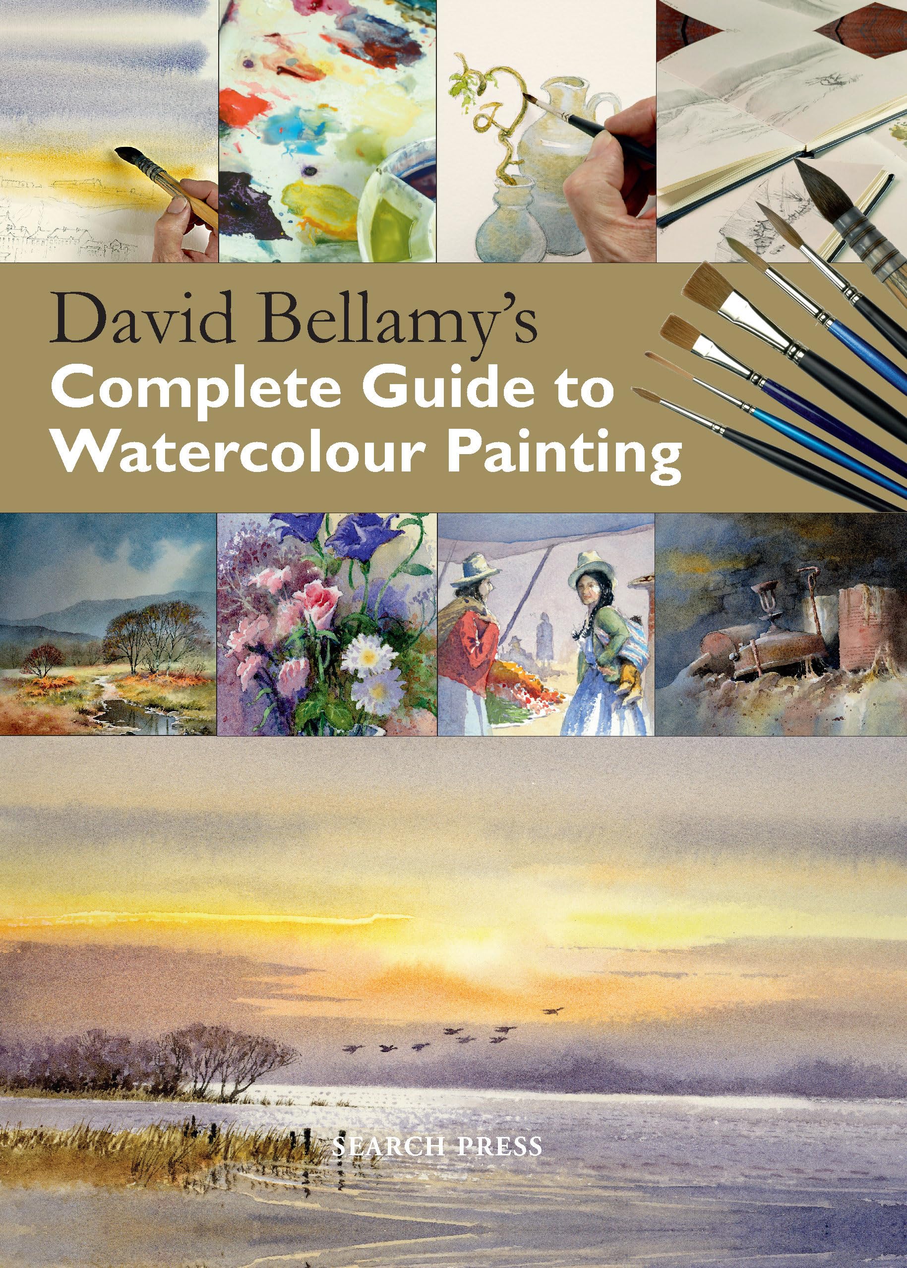 David Bellamy's Complete Guide to Watercolour Painting