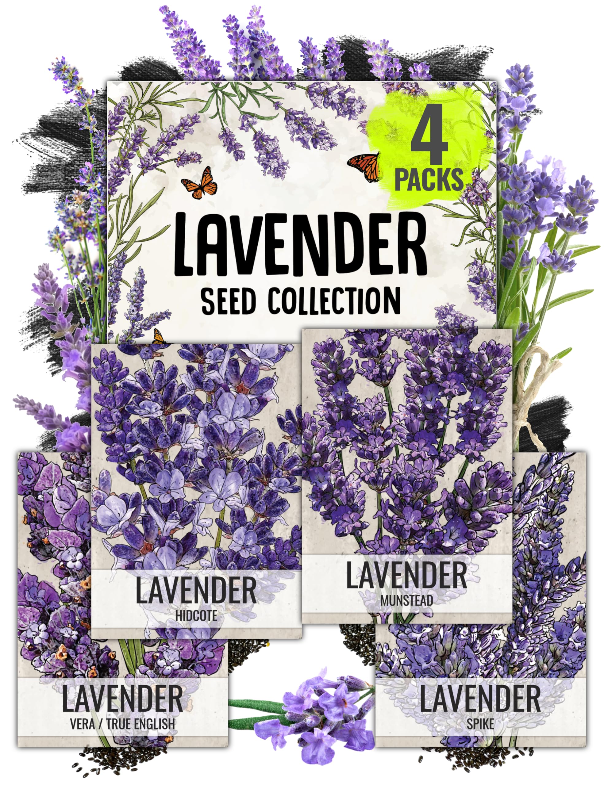 Seed Needs Lavender Seeds for Planting a Variety of Lavandula Plants - Non-GMO Heirloom & Untreated Herb Seed to Plant an Outdoor Home Grown Lavender Garden - Medicinal/Culinary (4 Packs)