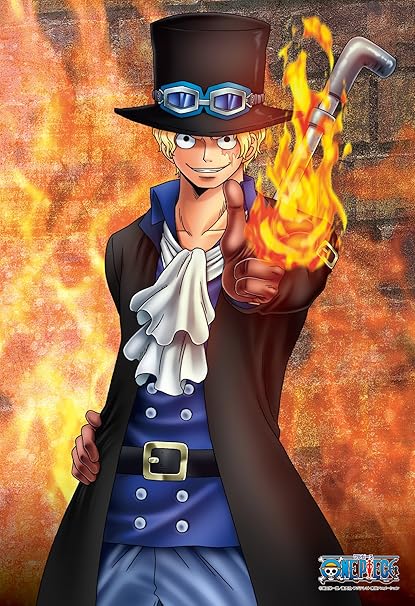 Amazon Com 300 Piece One Piece Revolutionary Army No 2 Sabo 26x38cm Automotive