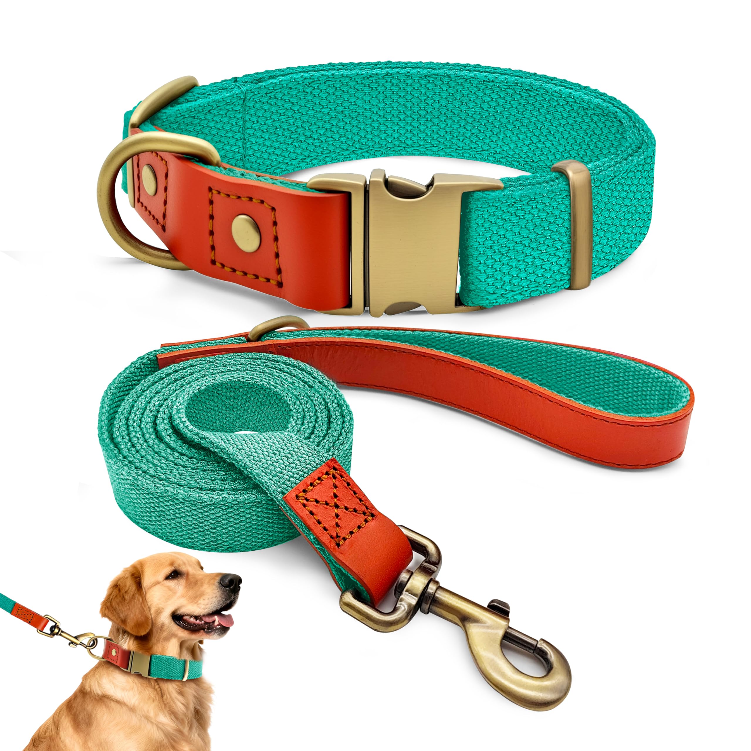 Collier et laisse pour grand chien XL cyan réglable pour balade en toute sécurité