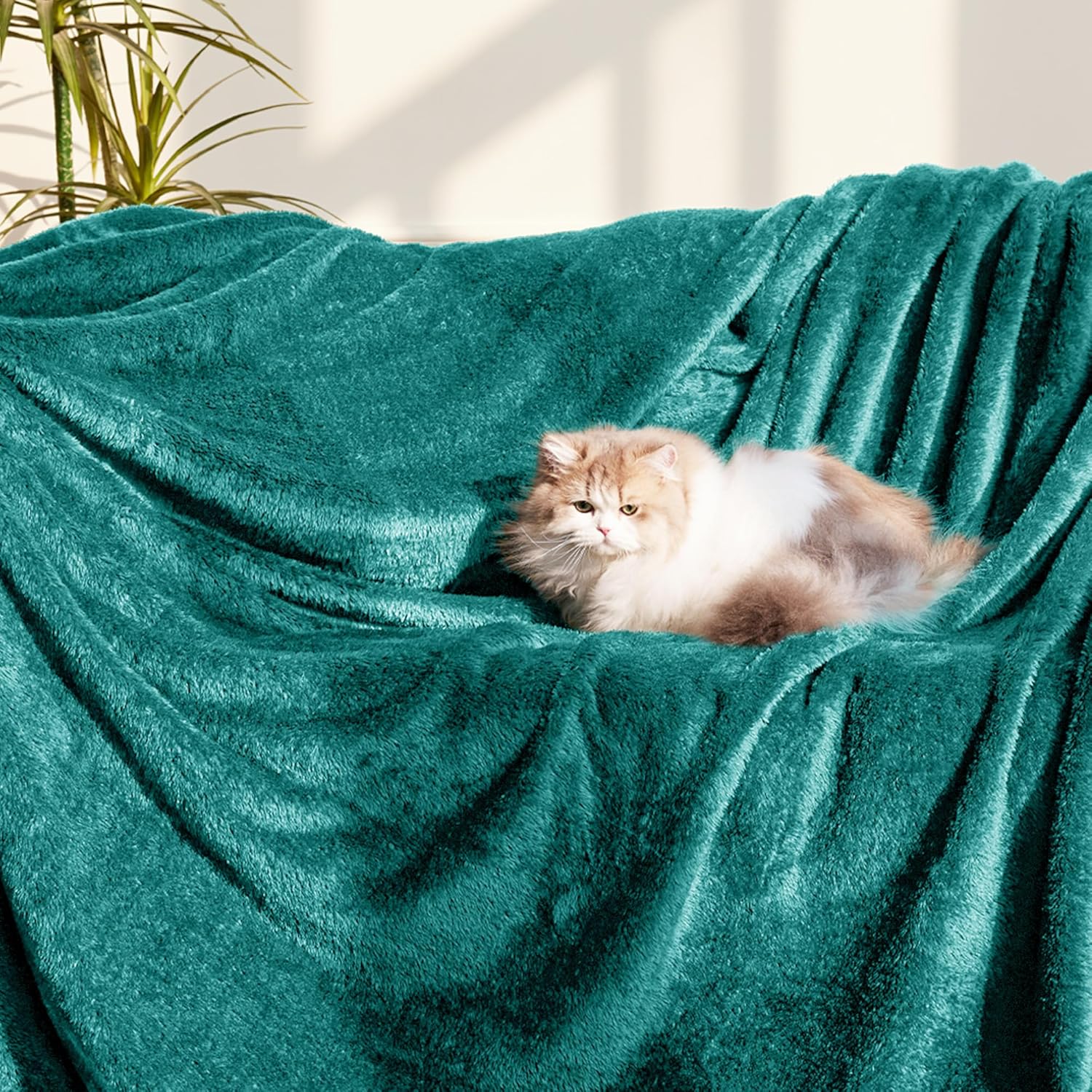 Whale Flotilla Teal Queen Size Blanket for Bed, 300GSM Soft Warm Fleece Fabric, Decorative Lightweight Plush Fluffy Blankets for All Season, 90x90 Inch - Image 2