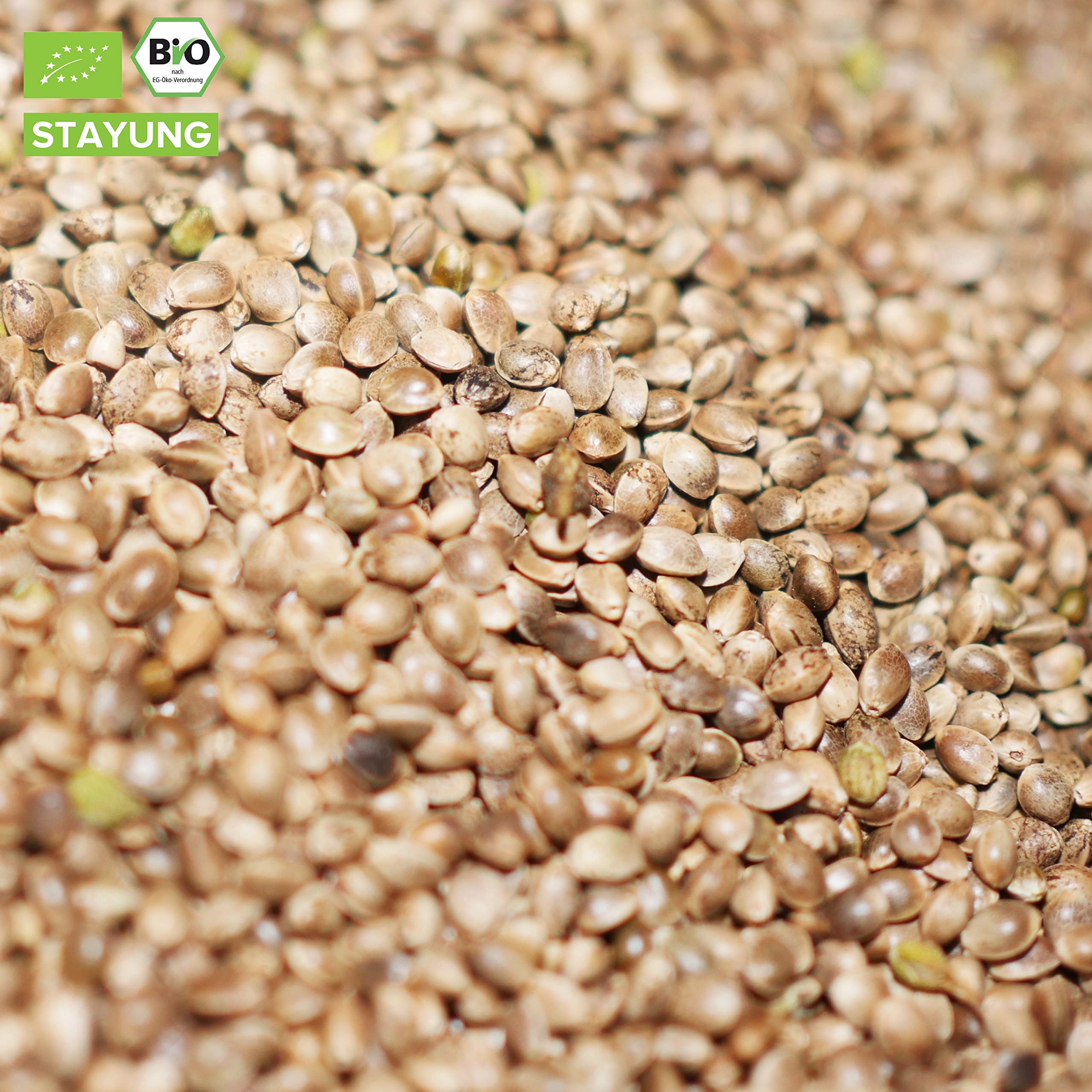 Graines de chanvre bio non épluchées et non torréfiées de France - 2 kg - Graines de chanvre - Végétalées, faible teneur en glucides - Acides gras oméga-3 et oméga-6 - DE-ÖKO-070 Stayung