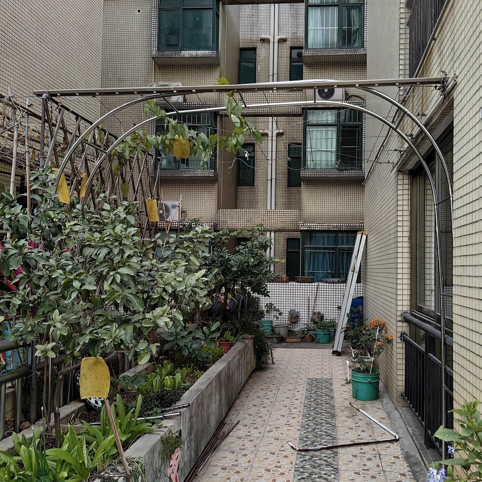 Rosenbon Wetterbeständige Gartenpergola aus Edelstahl, erhältlich in 120 cm, 150 cm, 180 cm, 200 cm, 240 cm x 320 cm, Outdoor-Baldachin für Hinterhof, Terrasse