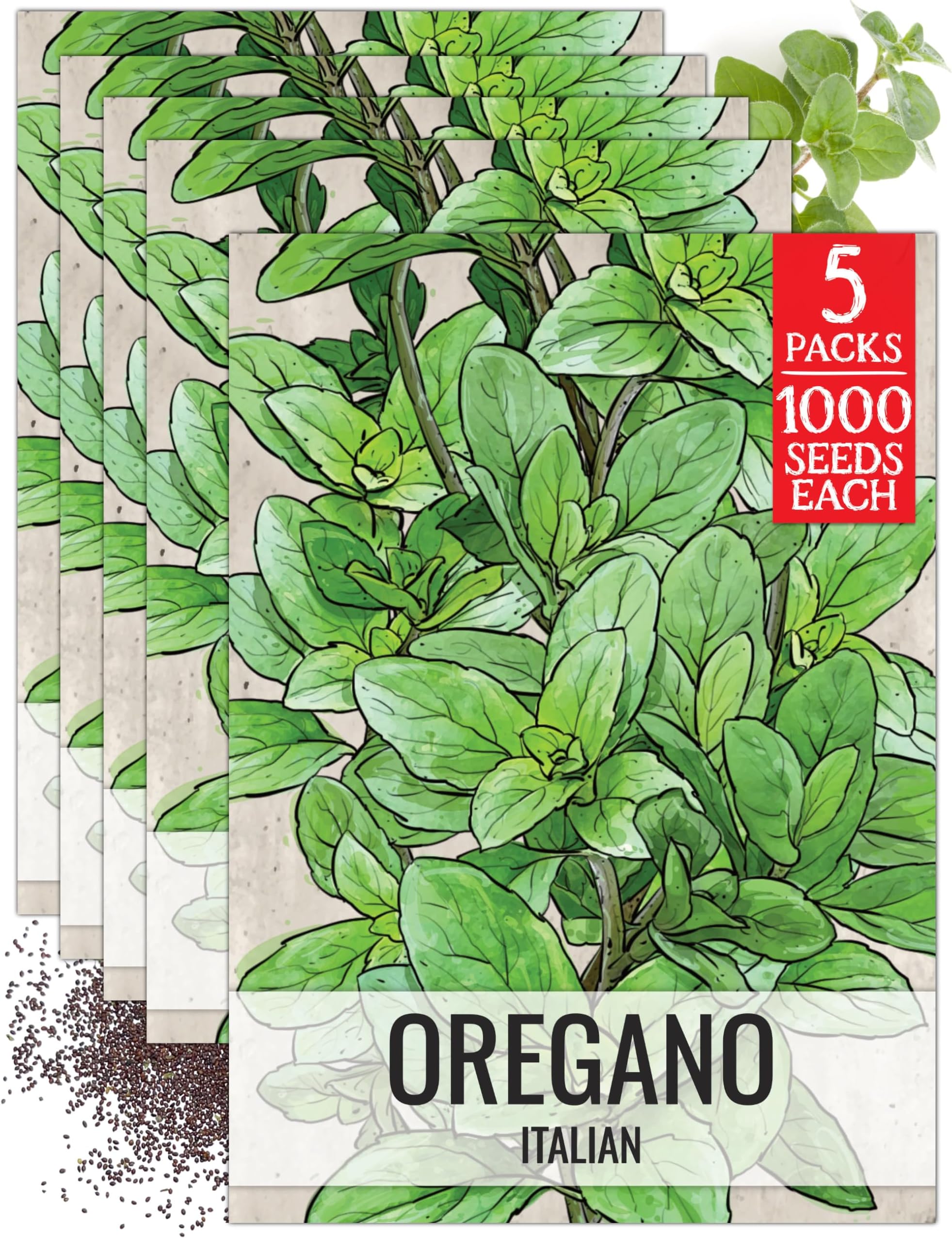 Herb Seeds to Plant Italian Oregano - Heirloom Herbs 5 Packs