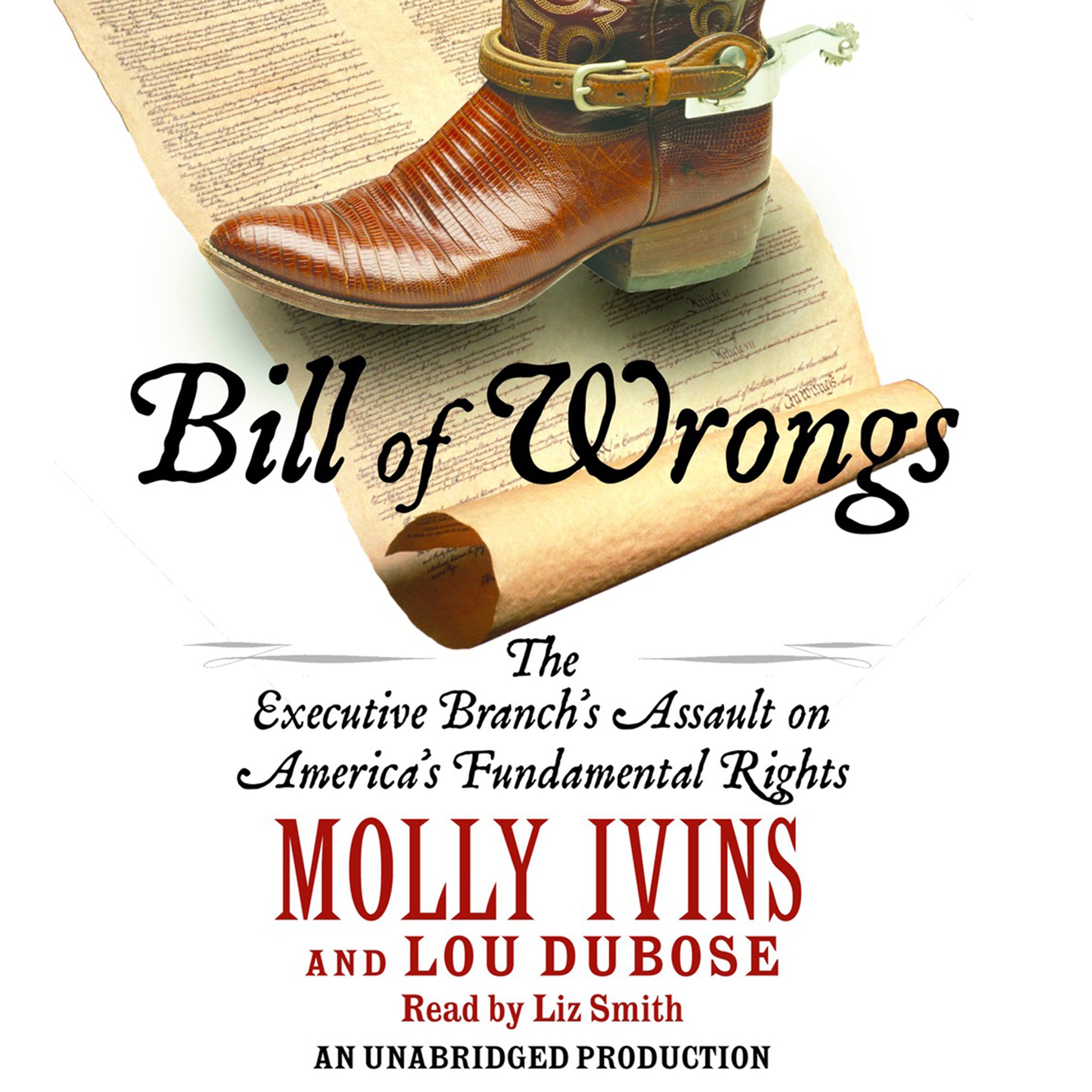 Cover art for Bill of Wrongs