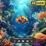 Clownfish Aquarium HD Screensaver - Premium Virtual Fish Tank with Ocean Sounds
