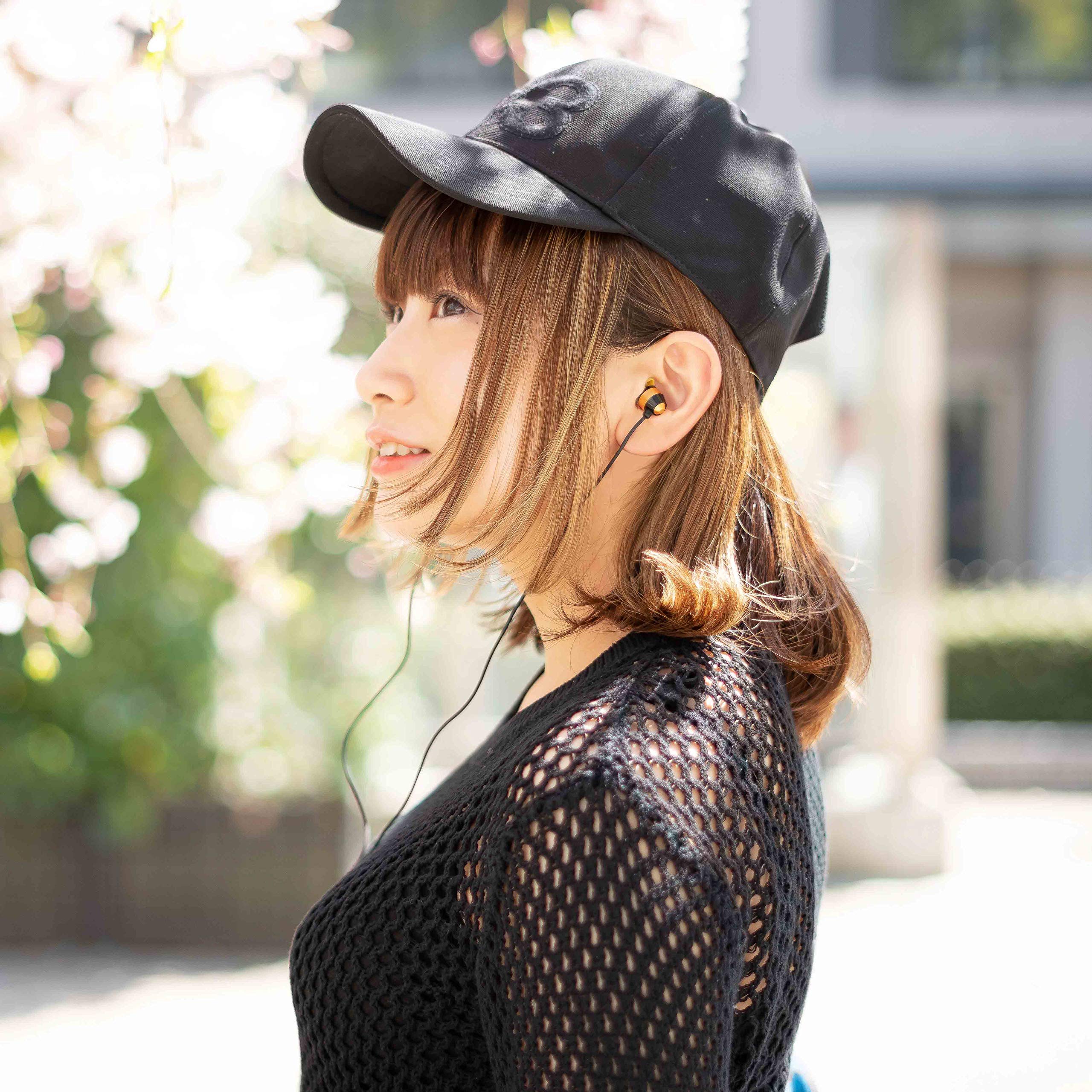 Amazon.co.jp: 【e☆イヤホン×アルペックス】 ALPEX 共同開発 コラボ