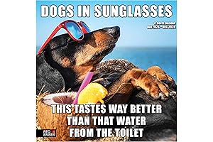 RED EMBER Dogs in Sunglasses Wall Calendar 2024