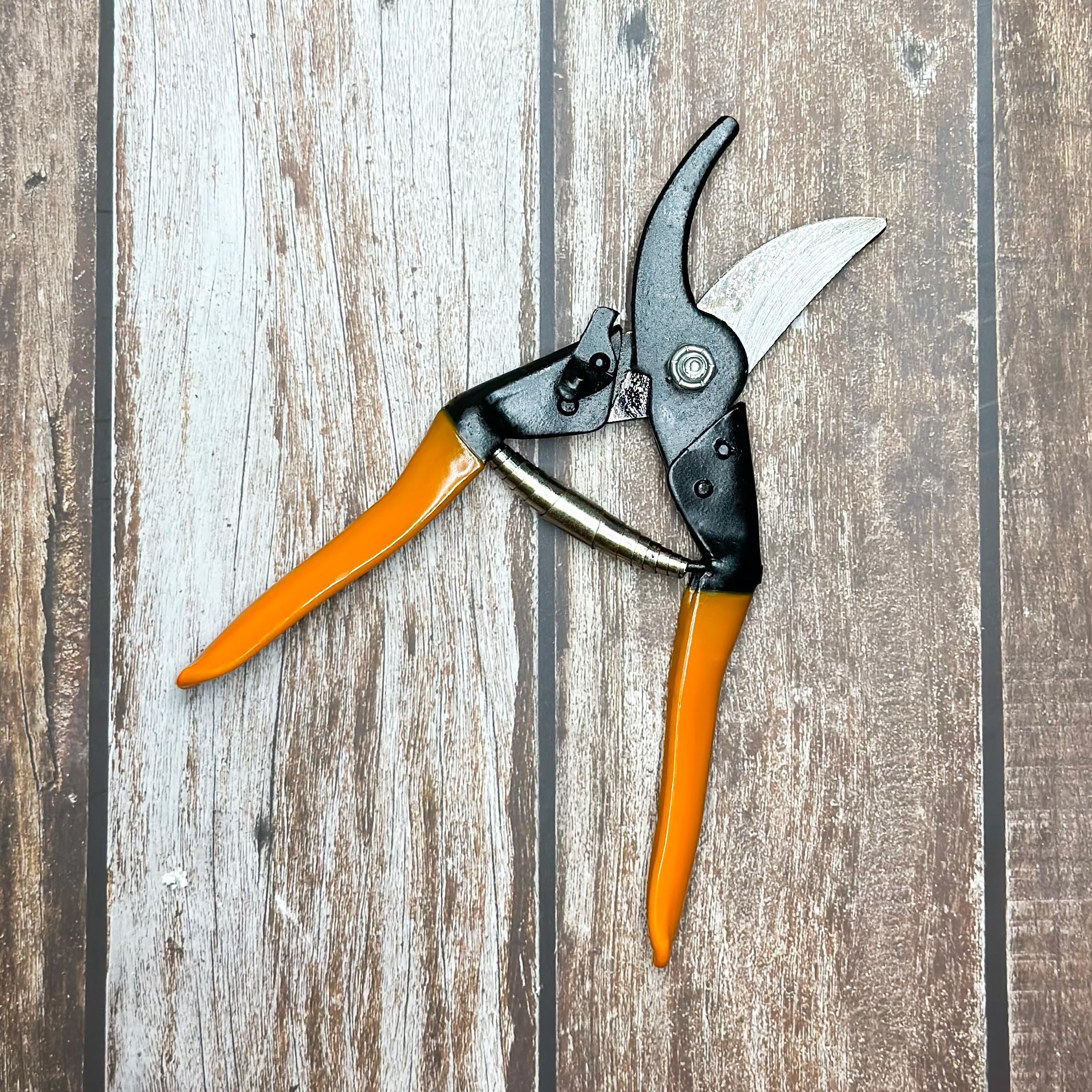 Gtree Gardening Major Cut Pruner | Cutter for Trimming Pruning | 1pc | Indoor Gardening, terrace gardening | Tool for Gardening | Cutter for Indoor plant Cutting