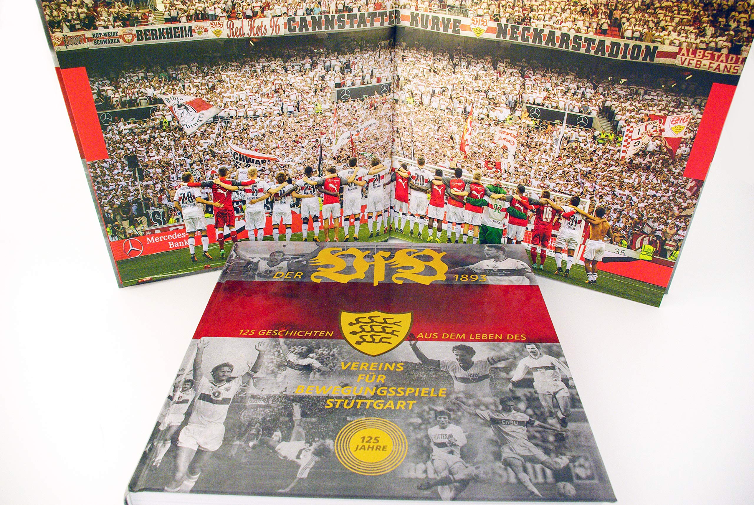 Der VfB 1893: 125 Geschichten aus dem Leben des Vereins für Bewegungsspiele Stuttgart