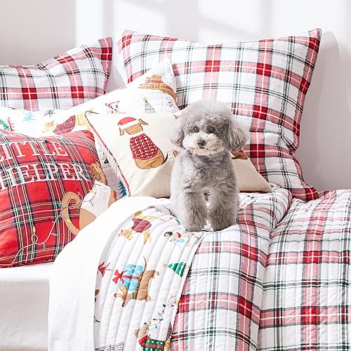 Miniatura 5 de Levtex Home Merry & Bright Collection - Juego de edredón Jingle Paws - Edredón navideño matrimonialQueen de 86 x 86 pulgadas y dos fundas estándar