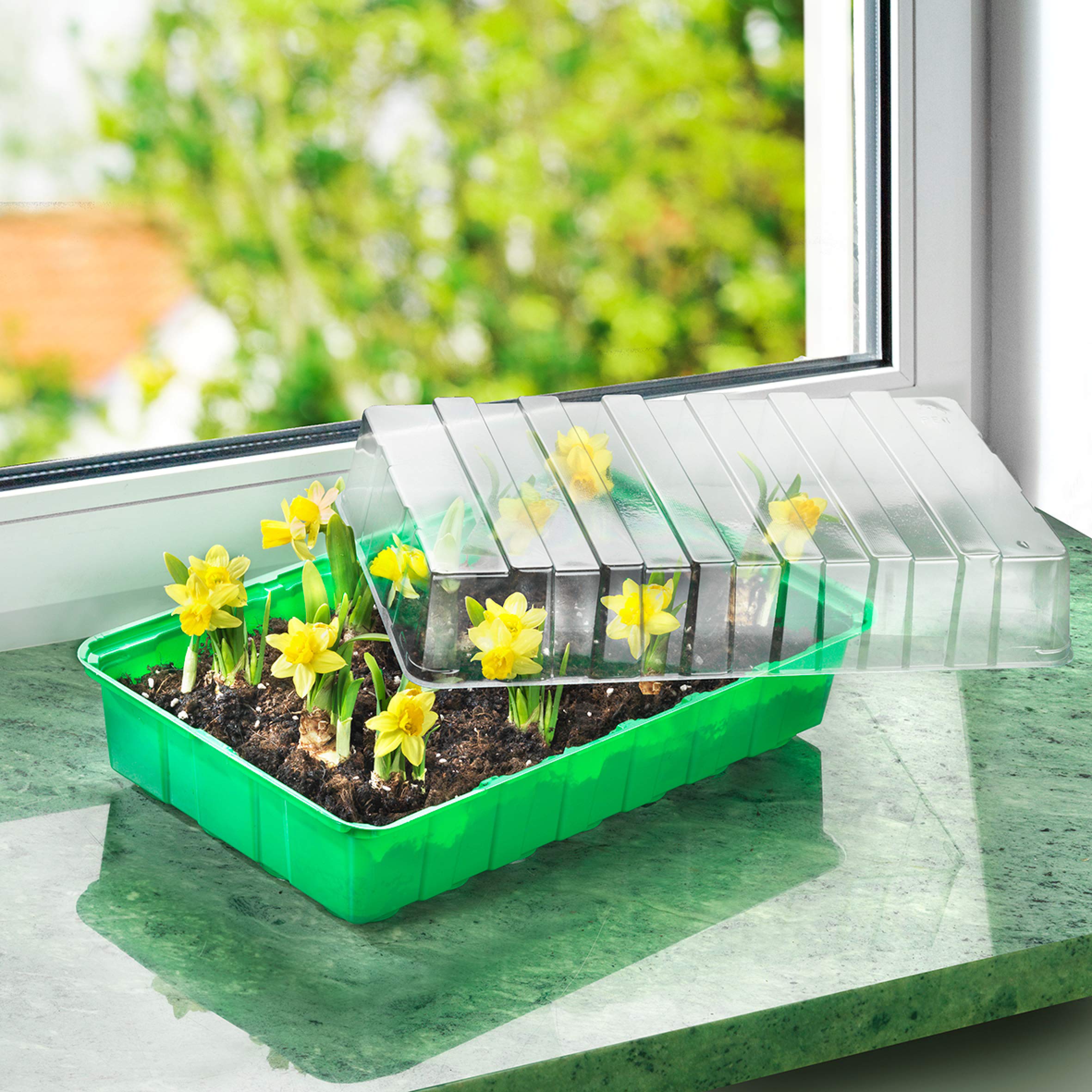 Room Greenhouse 36x22x13cm, Multicolour, 36 x 22 x 13 cm - Image 2