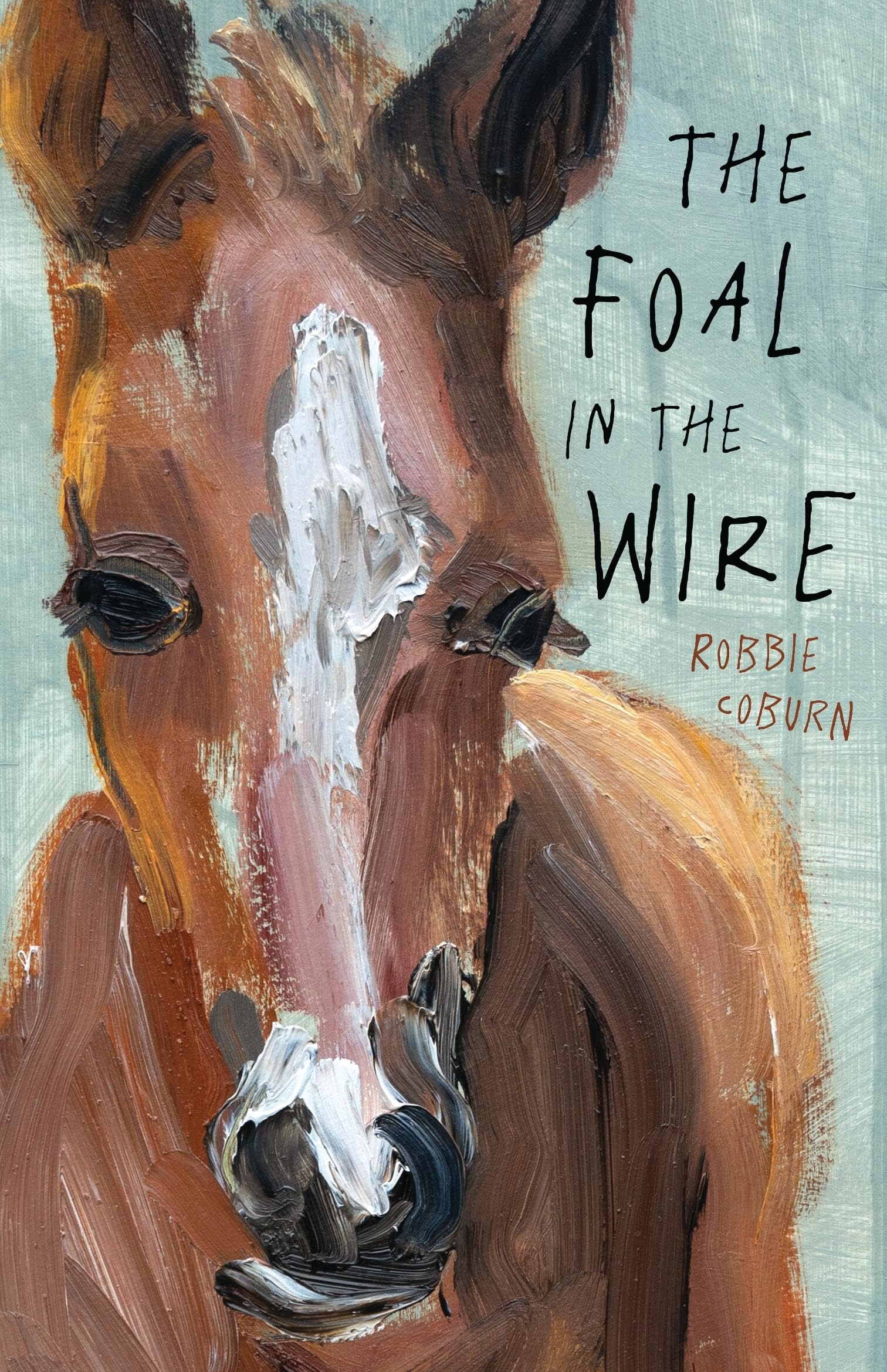 The Foal in the Wire by Robbie Coburn (Paperback Book)