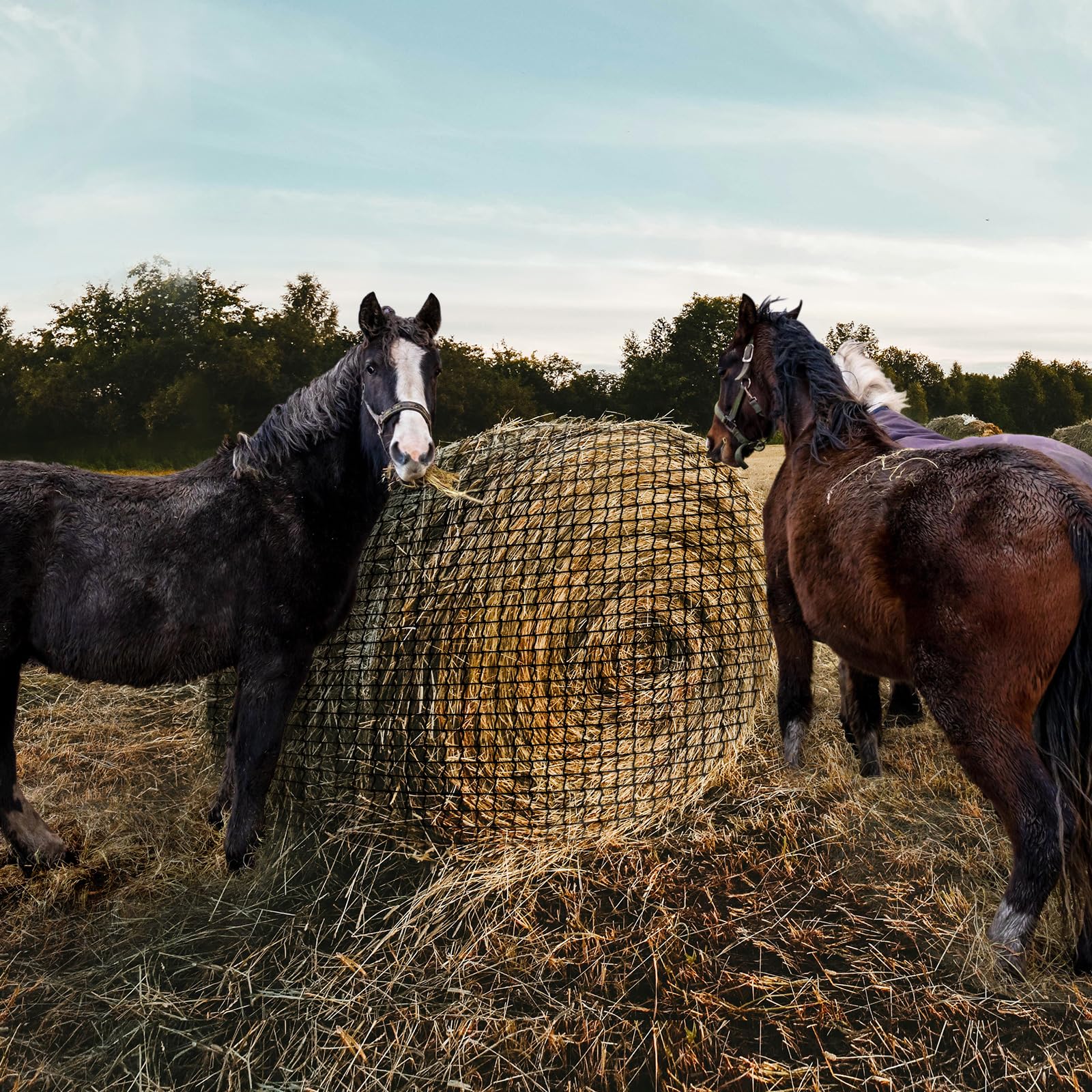 Red de heno Redonda para Caballos, 5 x 5 pies, sin Nudos, alimentación Lenta para Ganado, Red de heno Grande de Calibre Pesado para Caballos, Ganado, ovejas en Granjas y pastos