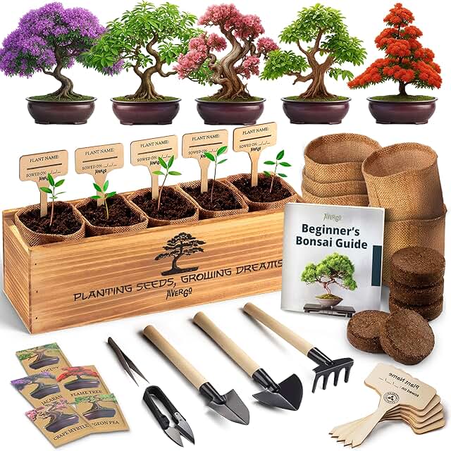 AVERGO Bonsai Tree Kit for Beginners – 5X Unique Japanese Bonzai Trees |...