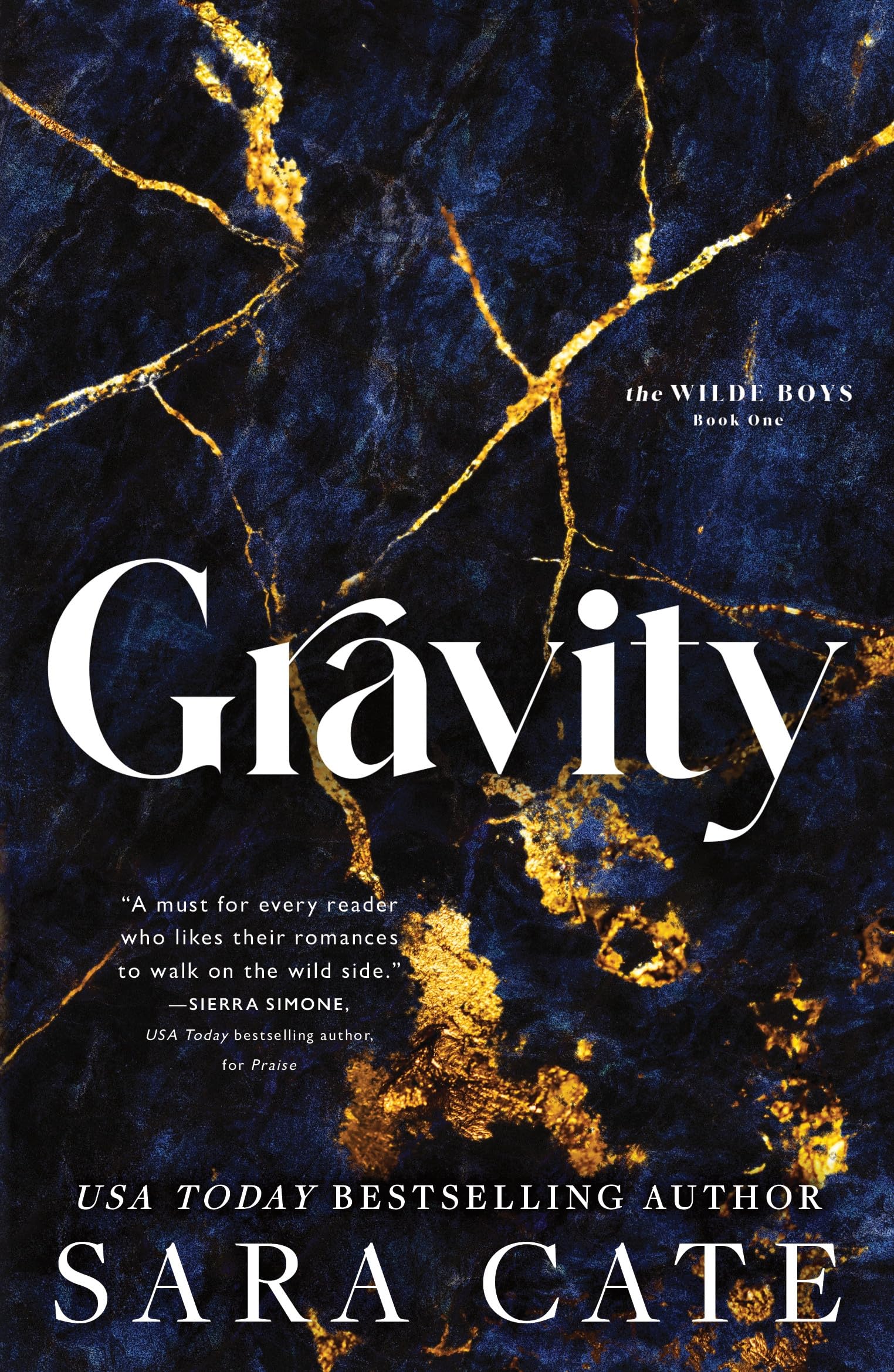 Gravity: A Dark Forbidden Billionaire Romance (Wilde Boys)