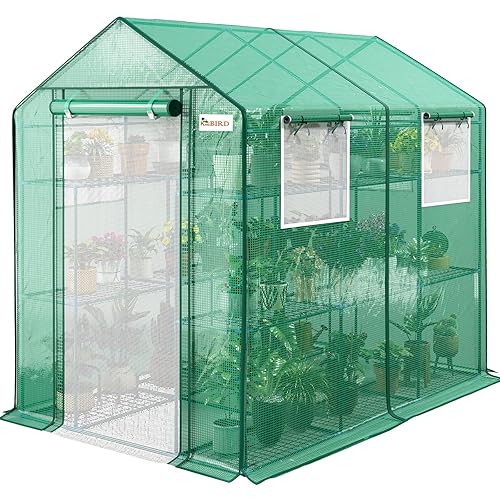 Premium Greenhouse for Outdoors, 84x56x77 in Walk-in Hot House with