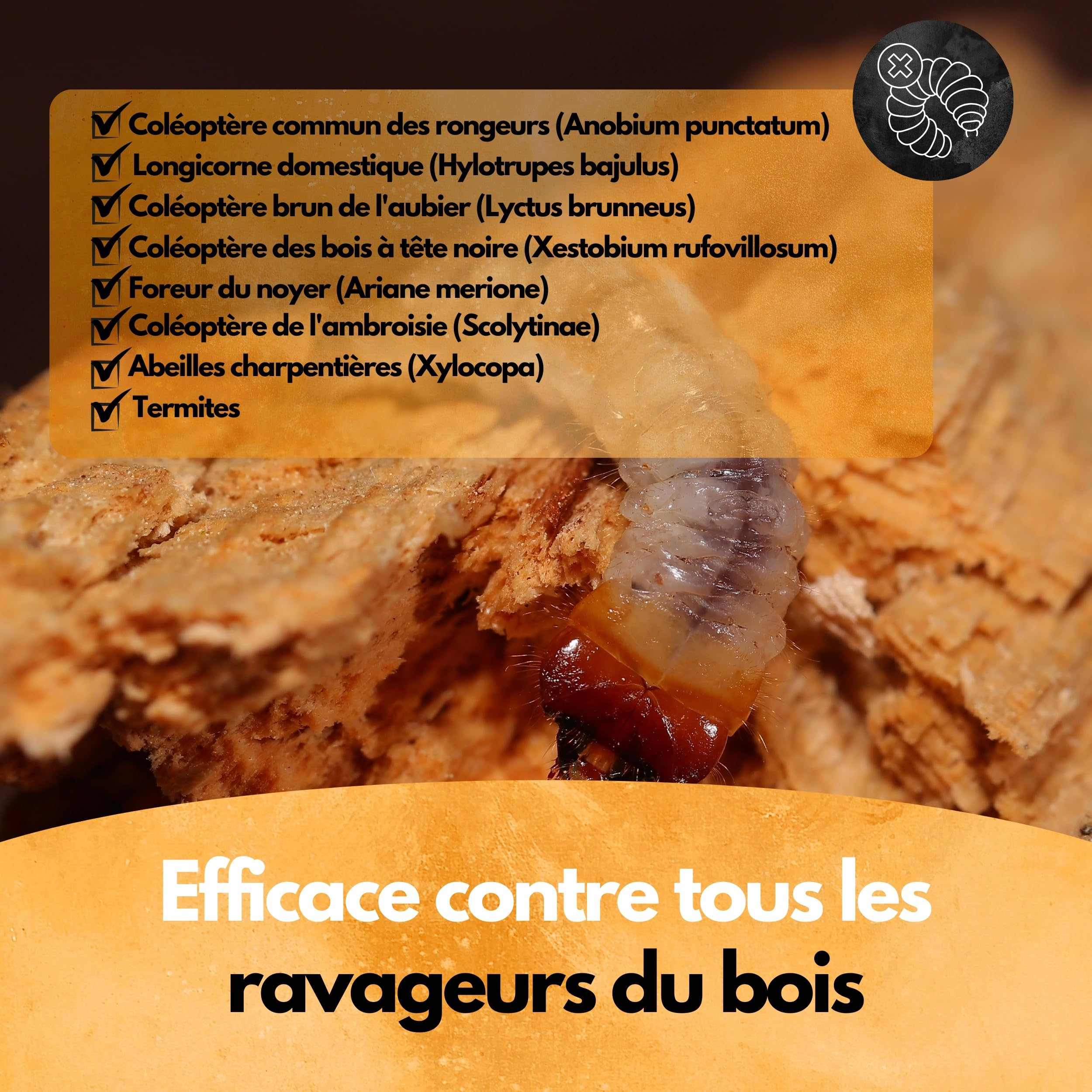 Woodworm Death Spray 500ml - Professionnel - Lutte Contre les Vers à Bois - Agent de Protection du Bois - Woodworm Ex