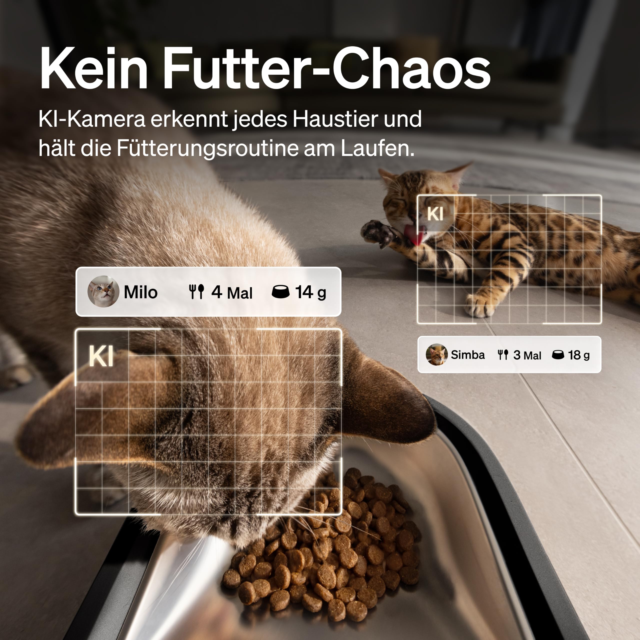 PETLIBRO Granary 2 Vision Futterautomat Katze mit Kamera und App