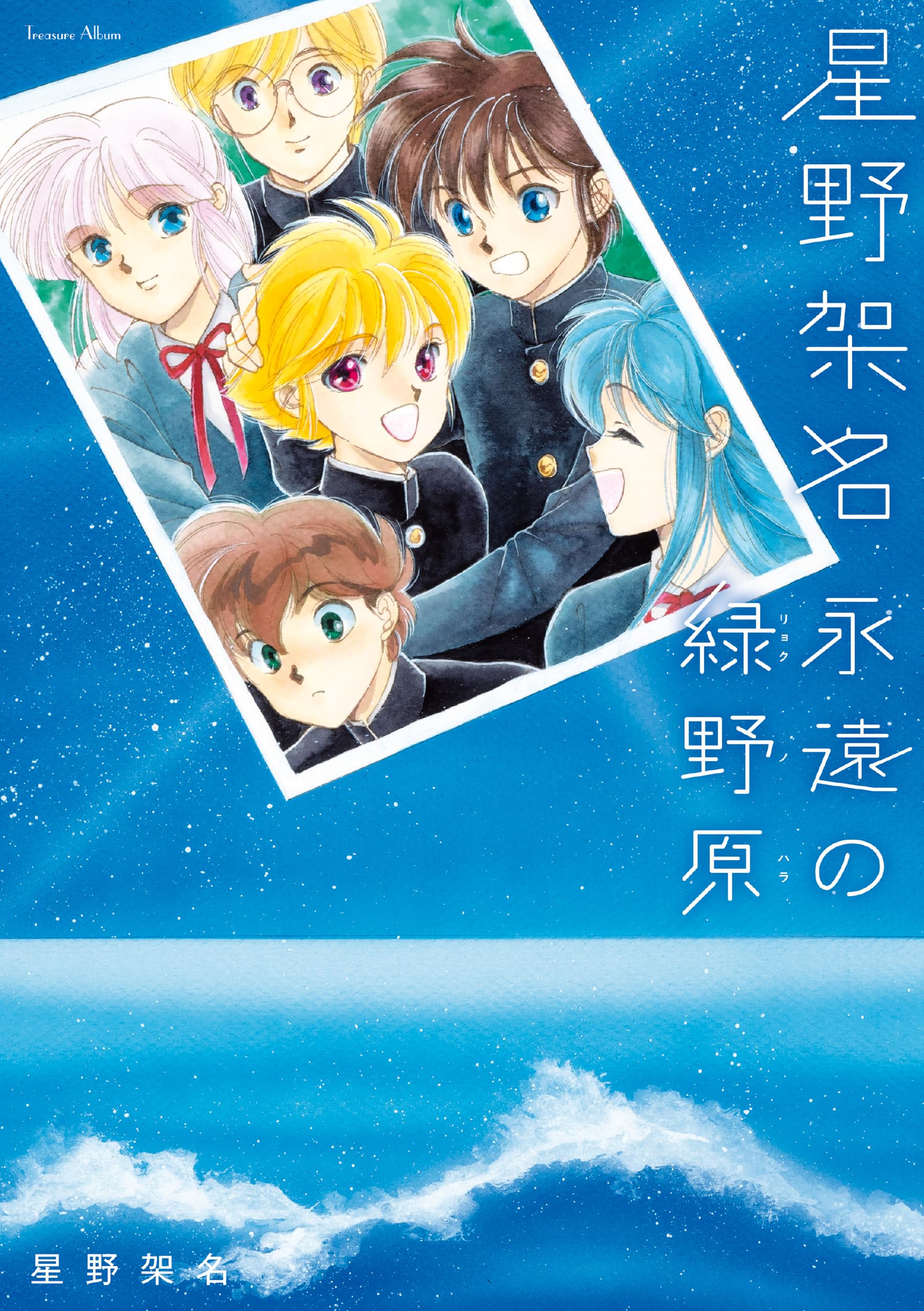 な*ち様 星野架名 24冊セット 全初版 な*ち様 星野架名 24冊セット 全初版