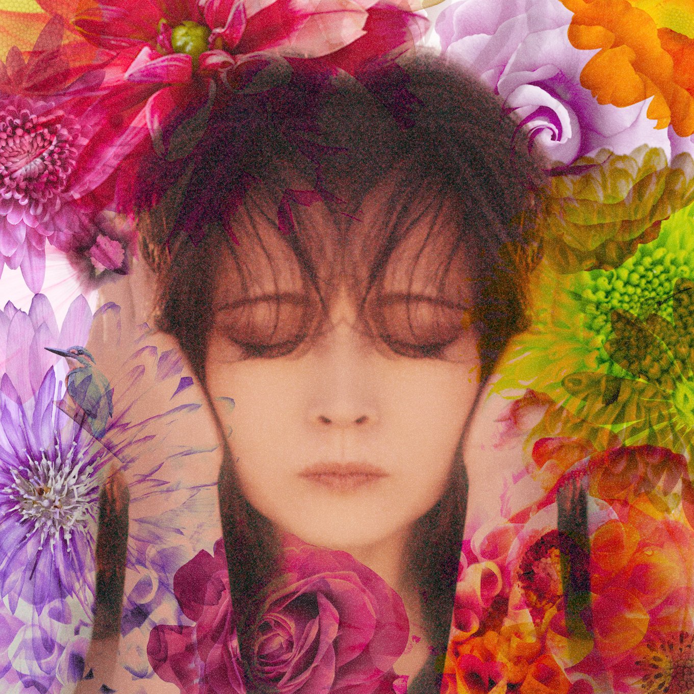 中森明菜 ひらり/FIXER ポスター。 Amazon.co.jp: FIXER(通常盤) - 中森明菜: ミュージック