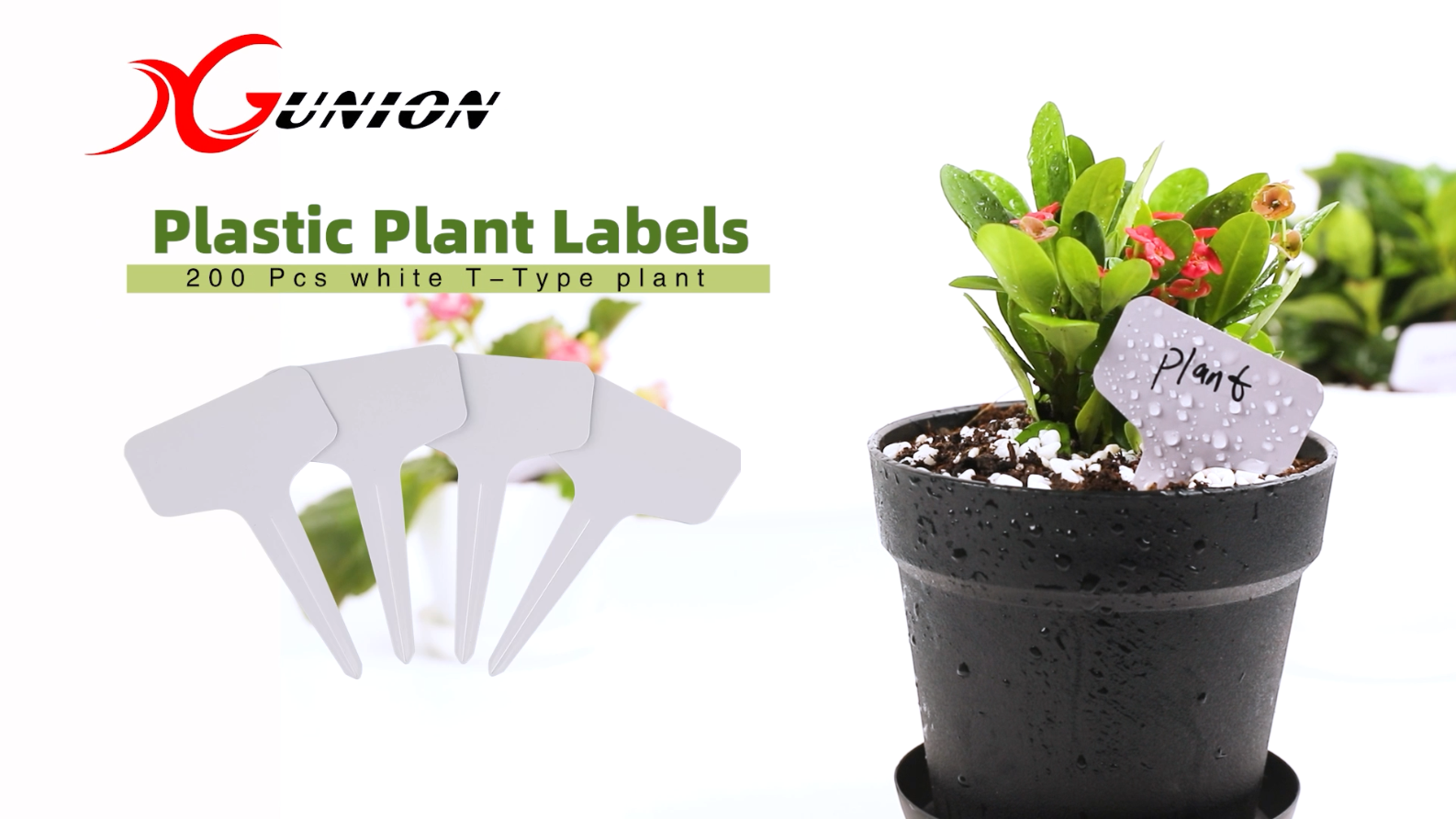Amazon.com: Plant Labels 200Pcs 4 InchT-Type Plant Name Tags